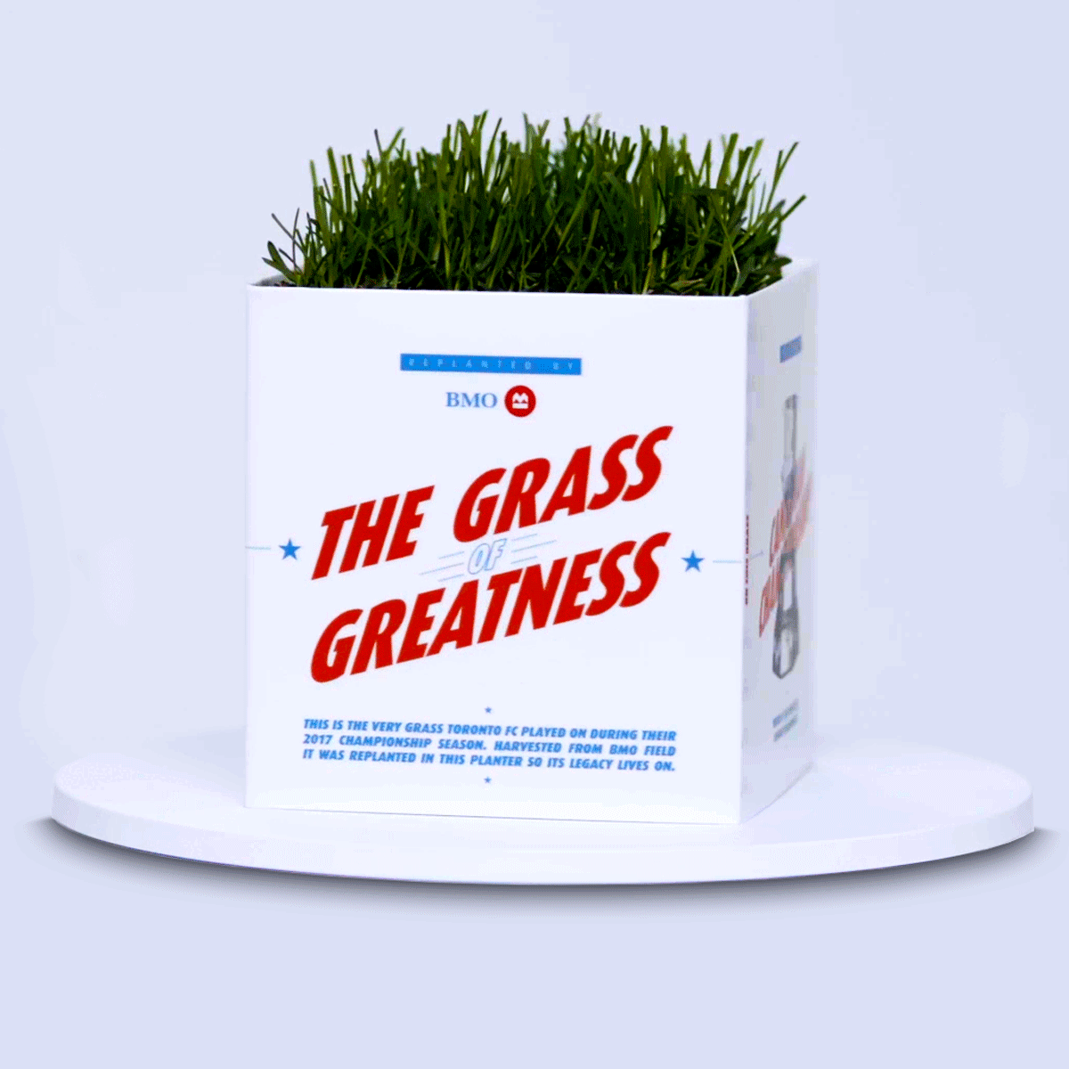 BMO Grass of Greatness Planter